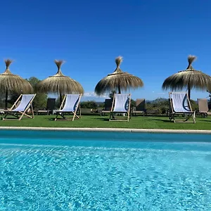 Dalt Murada Spain